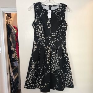 NWT Ann Taylor Black/White Flower Print Dress